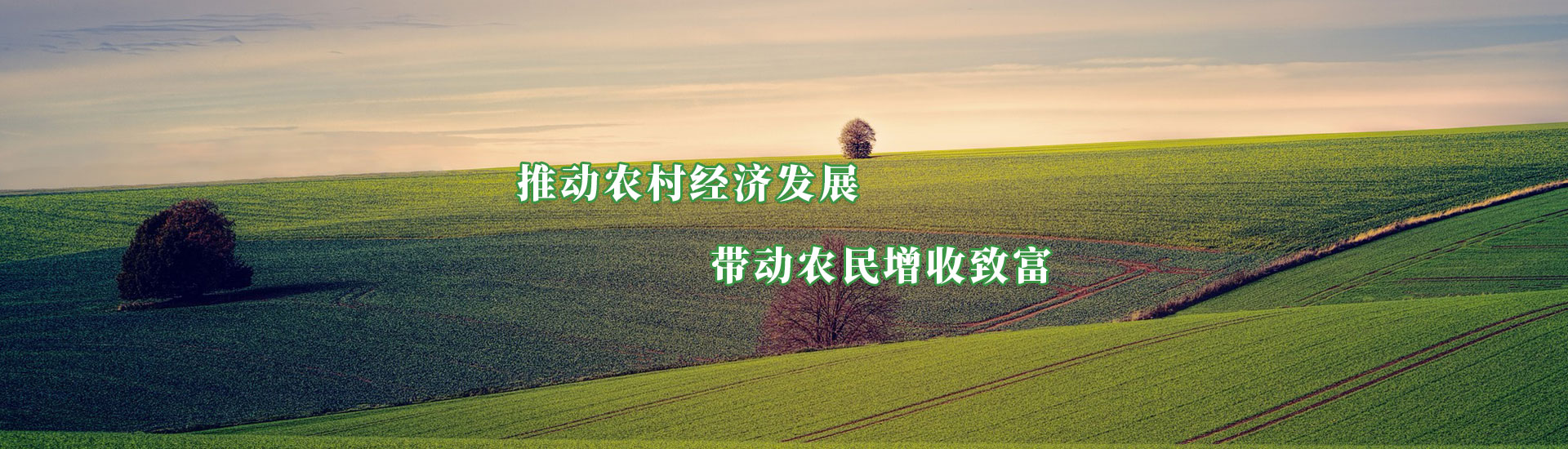 必赢亚洲·bwin(中国区)官方网站