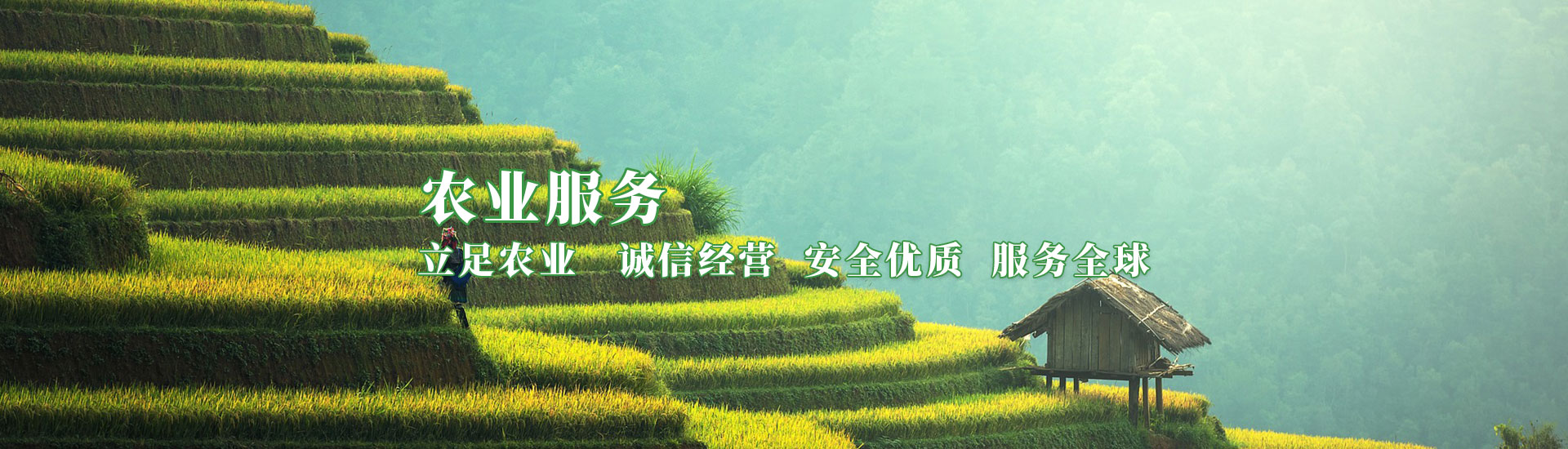 必赢亚洲·bwin(中国区)官方网站