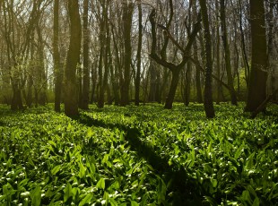 访农户，，，，送手艺！ “中国农资”现代农业效劳团队助力秋粮生产