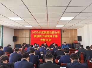 必赢亚洲 召开2020年度向导班子和向导干部审核大会